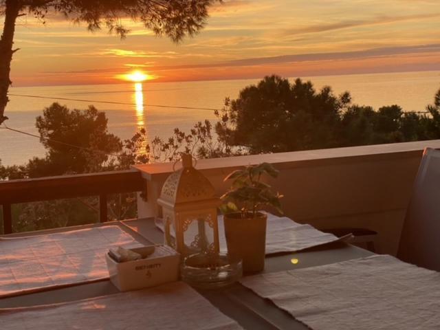 D Restaurant & Private Beach Hotel 4*