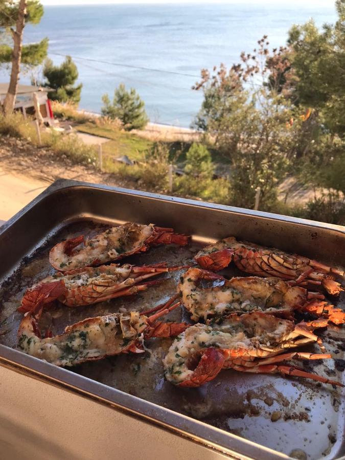 Hotel D Restaurant & Private Beach 4*